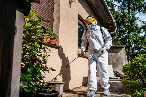 Best Affordable Pest Control Services  in Russellville, KY