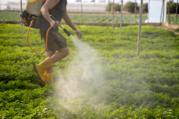 Best Pest Removal Services  in Russellville, KY