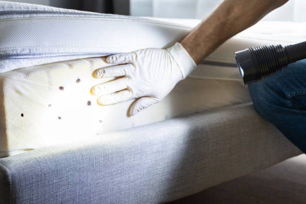 Best Pest Inspection Near Me  in Russellville, KY