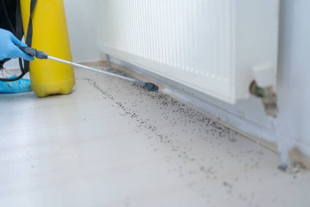 Best Pest Prevention Services  in Russellville, KY